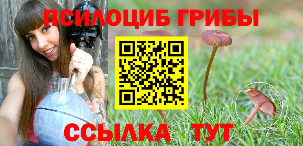 Домодедово  Галлюциногенные грибы прущие грибы  Галлюциногенные грибы MAGIC MUSHROOMS  где продают наркотики  Вход с VPN 